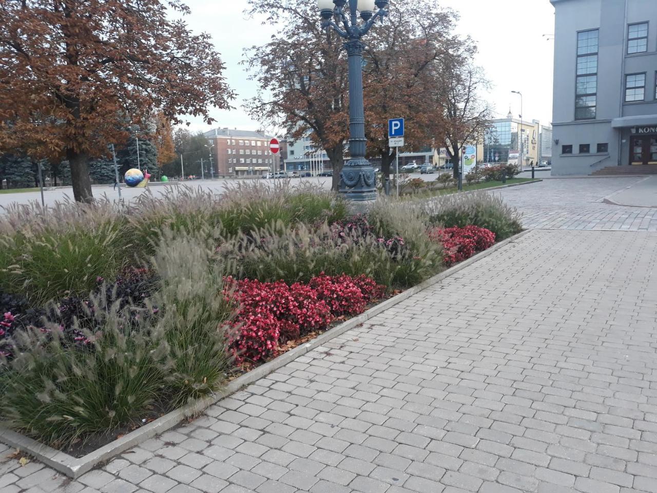 Town Center Studio Apartment Νταουγκαβπίλς Εξωτερικό φωτογραφία